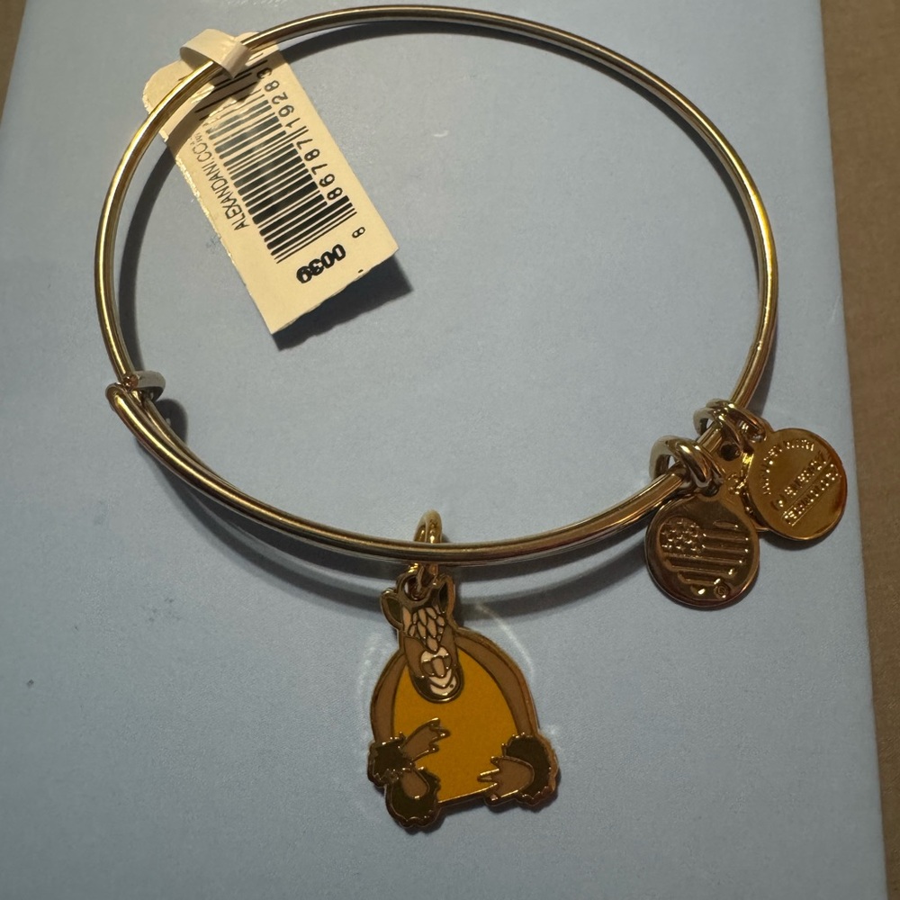 Alex and Ani Friends Armadillo Gold Charm Bangle
